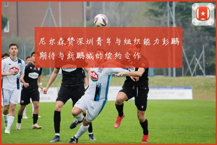 尼尔森赞深圳青年与组织能力彭鹏期待与新鹏城的续约合作