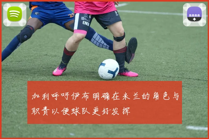 加利呼吁伊布明确在米兰的角色与职责以便球队更好发挥